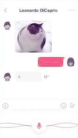 手机攻击器APP下载软件程序维护界面